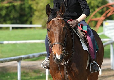 Dielsdorf Training 2april 2017 DSC01424 Hecto