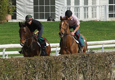 Dielsdorf Training 2april 2017 DSC01466 Cherry Hecto