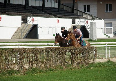 Dielsdorf Training 2april 2017 DSC01485 Cherry Hecto