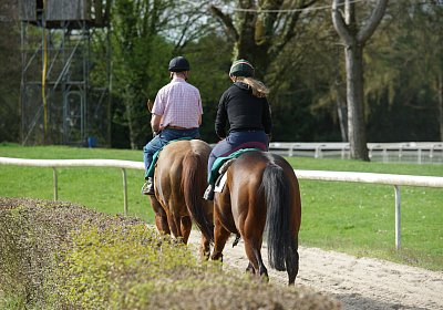 Dielsdorf Training 2april 2017 DSC01545 Cherry Hecto