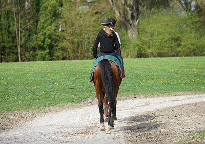 Dielsdorf Training 2april 2017 DSC01684 Cherry Hecto