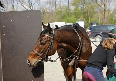 Dielsdorf Training 2april 2017 DSC01703 Hecto