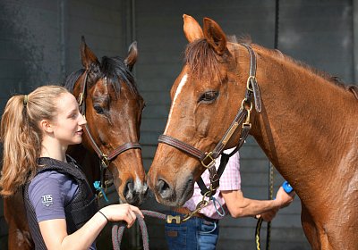 Dielsdorf Training 2april 2017 DSC01751 Cherry Hecto