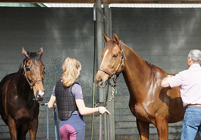 Dielsdorf Training 2april 2017 DSC01756 Cherry Hecto