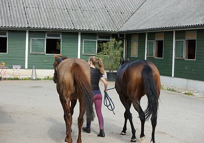 Dielsdorf Training 2april 2017 DSC01765 Cherry Hecto