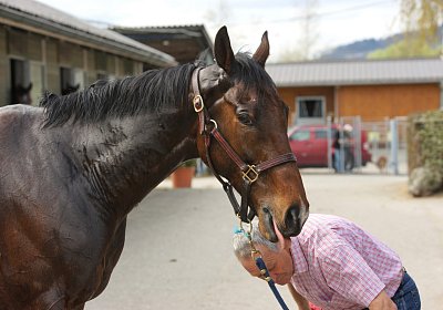 Dielsdorf Training 2april 2017 DSC01771 Hecto