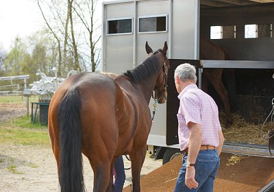 Dielsdorf Training 2april 2017 DSC01812 Hecto
