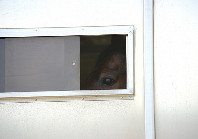 Dielsdorf Training 2april 2017 DSC01822 Hecto