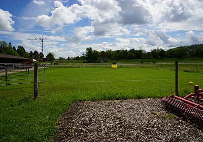 Kugelblitz Besuch 14mai17 DSC03043