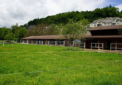 Kugelblitz Besuch 14mai17 DSC03045