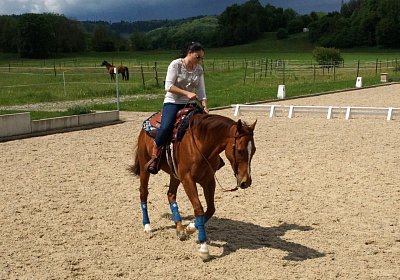 Kugelblitz Besuch 14mai17 DSC03093