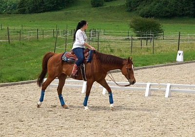 Kugelblitz Besuch 14mai17 DSC03095