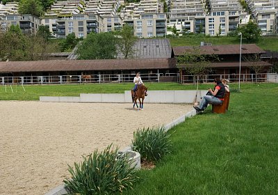 Kugelblitz Besuch 14mai17 DSC03098