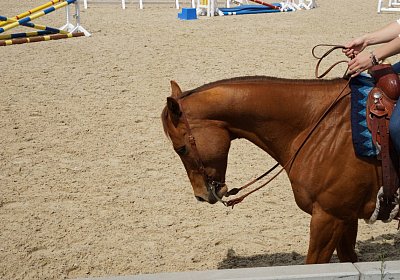 Kugelblitz Besuch 14mai17 DSC03099