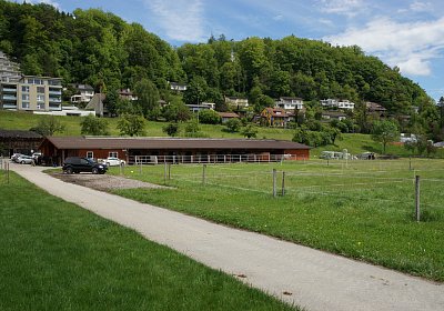 Kugelblitz Besuch 14mai17 DSC03108