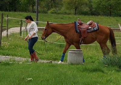 Kugelblitz Besuch 14mai17 DSC03155