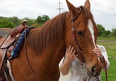 Kugelblitz Besuch 14mai17 DSC03164