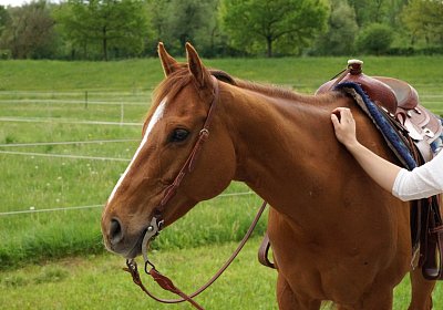 Kugelblitz Besuch 14mai17 DSC03169