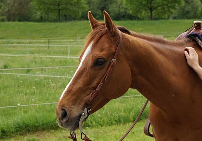 Kugelblitz Besuch 14mai17 DSC03171