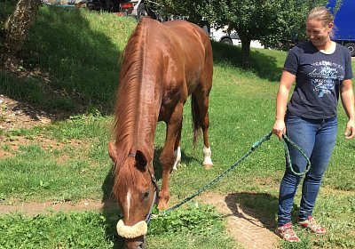 IMG 7287 Richmond Park