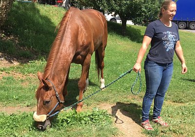 IMG 7288 Richmond Park