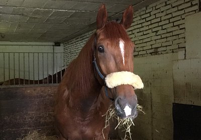 IMG 7297 Richmond Park