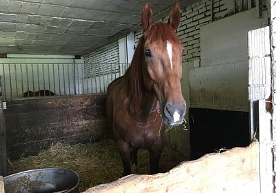 IMG 7301 Richmond Park