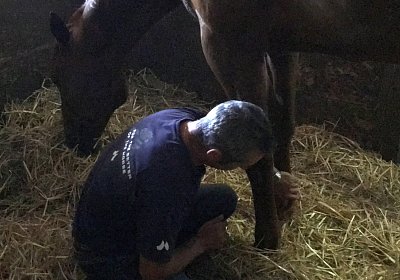 IMG 7304 Richmond Park