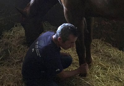 IMG 7305 Richmond Park