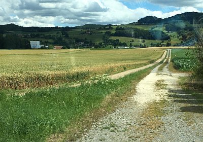 IMG 7307 Anlage Burger