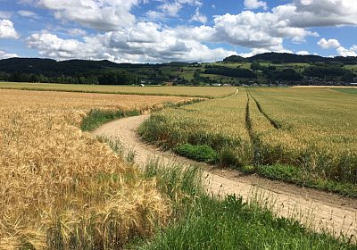 IMG 7308 Anlage Burger