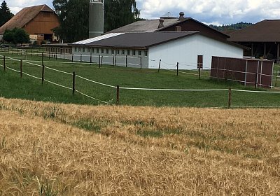 IMG 7311 Anlage Burger