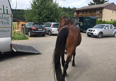 2017 07 15 Bel Abschied AnkunftIMG 7673