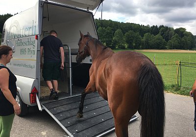 2017 07 15 Bel Abschied AnkunftIMG 7679