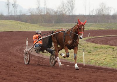 DSC00179 Elkador