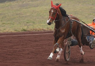 DSC00205 Elkador