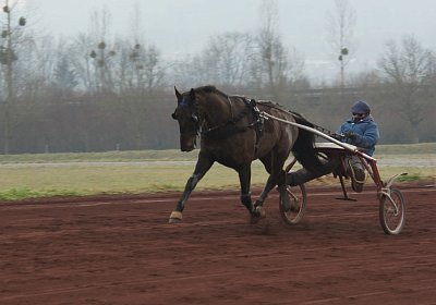 DSC00410 Uranus