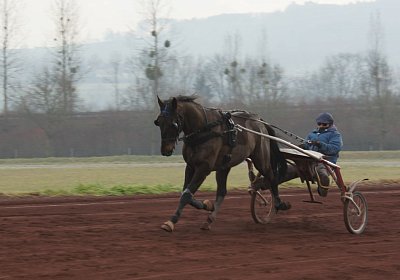 DSC00412 Uranus
