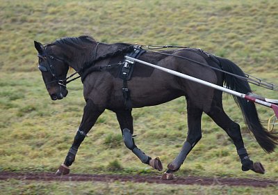 DSC00510 Uranus