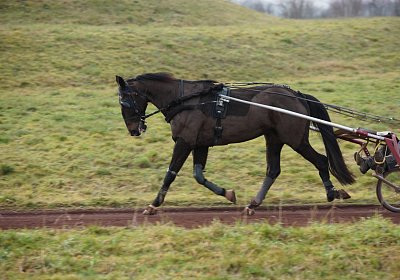 DSC00517 Uranus