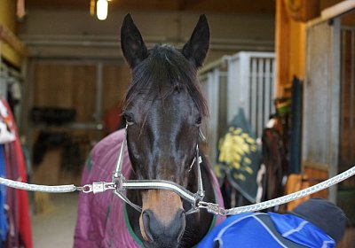 DSC00539 Canone