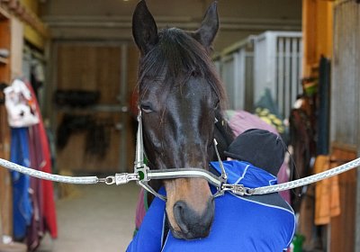 DSC00541 Canone