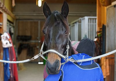 DSC00544 Canone