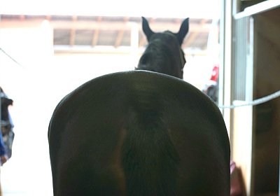 DSC00546 Canone