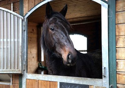 Jack DSC00881