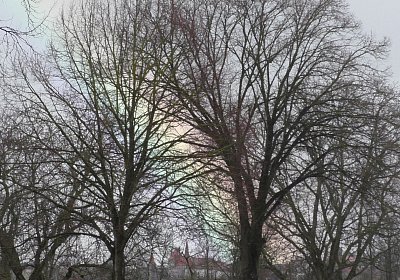 A S2960005 Regenbogen