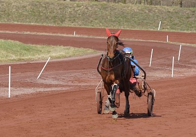 DSC06679 Semola