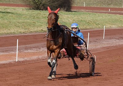 DSC06686 Semola