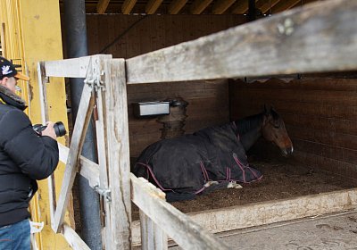 2018 03 31 Hecto Besuch DSC07321