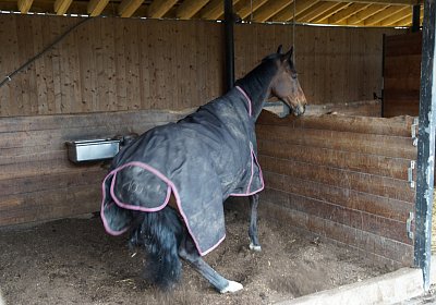 2018 03 31 Hecto Besuch DSC07354